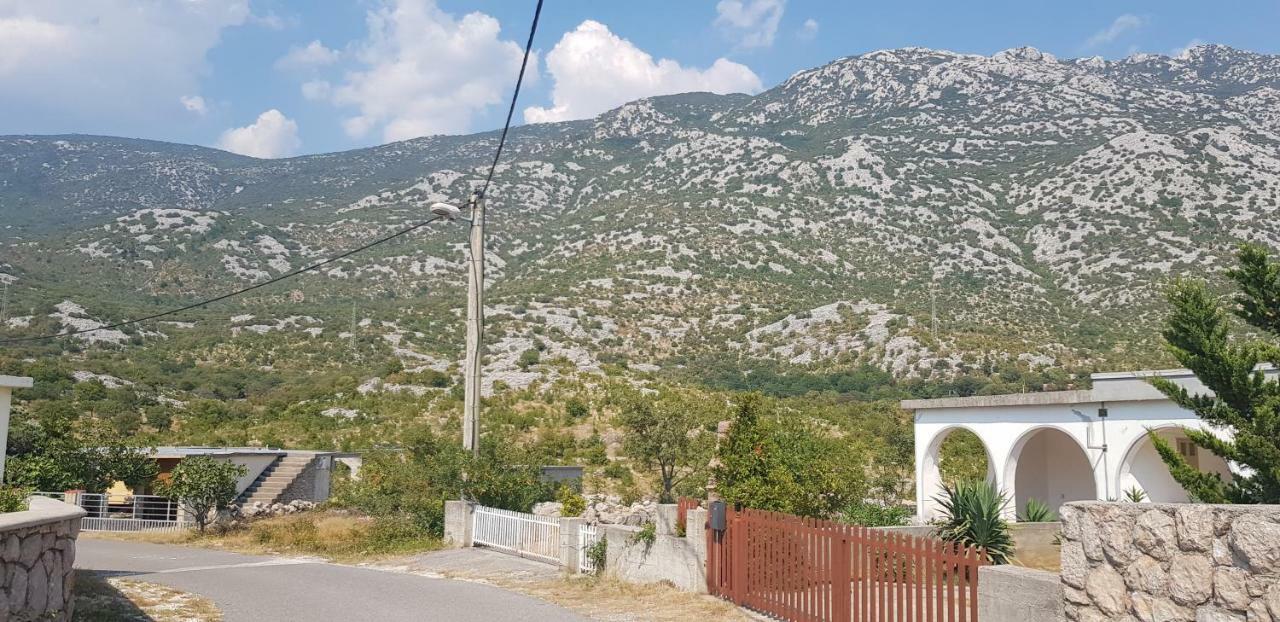 Apartmani Gabi Чезарица Экстерьер фото